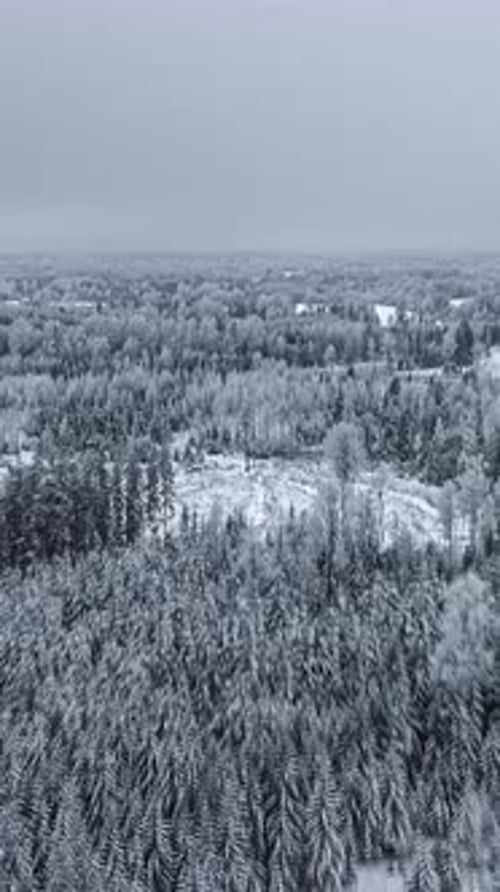 Aerial hyperlapse shot of a winter forest covered in snow and frost, calm view