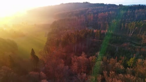 Silhouettes of Coniferous Trees in a Forest in Hilly Valley Against the Background of a Bright Sun