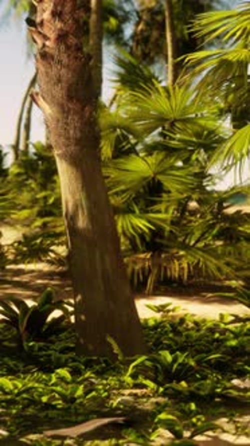 A Sandy Path Surrounded By Palm Trees on a Sunny Day