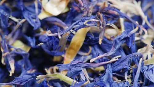 Dried Cornflower Petals Close Up