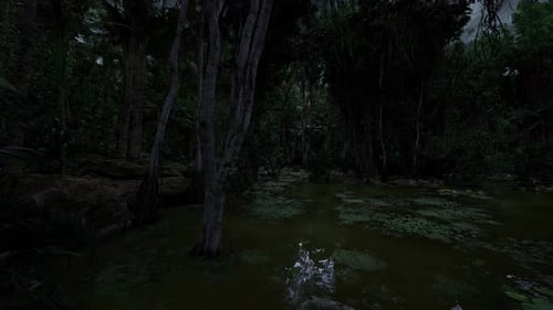 Zone humide nocturne tranquille avec une piscine rougeoyante sous un ciel sombre