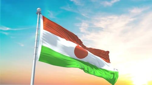 Looping Niger National Flag Waving in the Wind with Sunny Sky