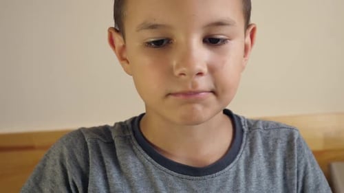 Young Boy Eating a Sandwich Indoors