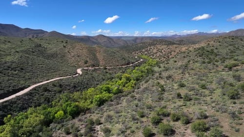 Aerial view of winding road and green trees, United States.