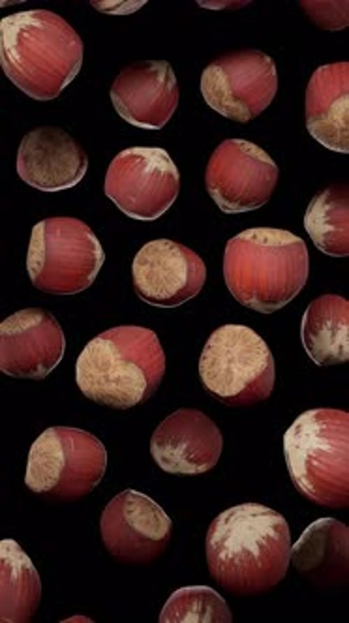 Rotating Hazelnuts Falling on Black Background