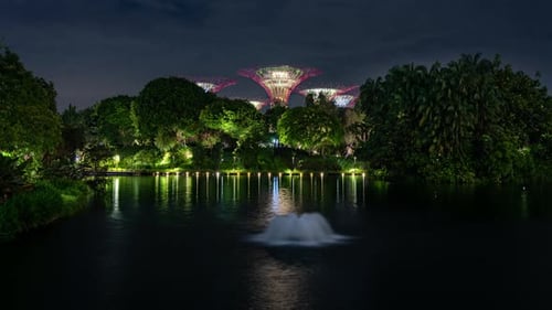 Time lapse clip of Singapore Supertrees at night