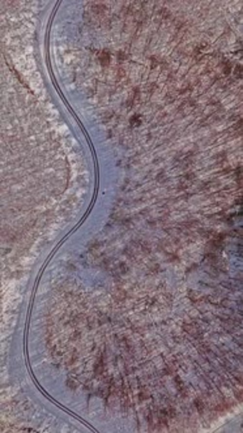 Vertical Winding Road Through Snowy Forest Aerial View