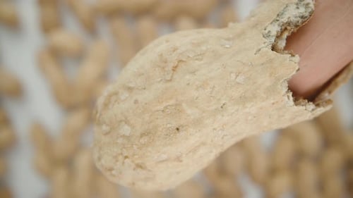 Half-peeled peanuts in the shell slowly rotate and fall downward. Top view, slow motion.