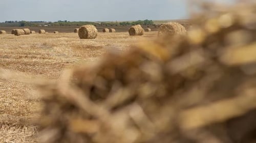 Hay Bail Harvesting in Golden Field Landscape