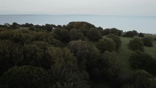 Scenic Aerial Shot Of Forest And Distant Lake