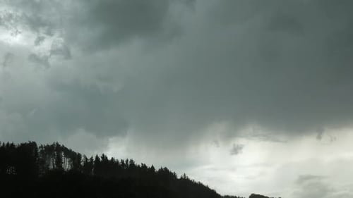 Ominous Treeline Under Dark Overcast Sky