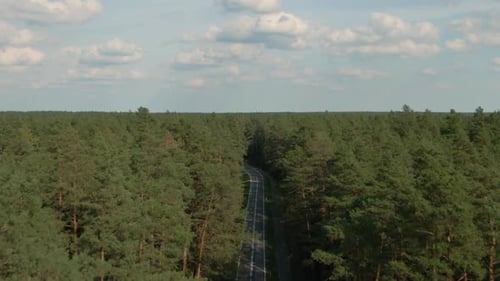 An einem sonnigen Tag über die Waldstraße in Polen fliegen