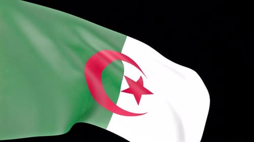 Waving Algerian National Flag Loop Animation