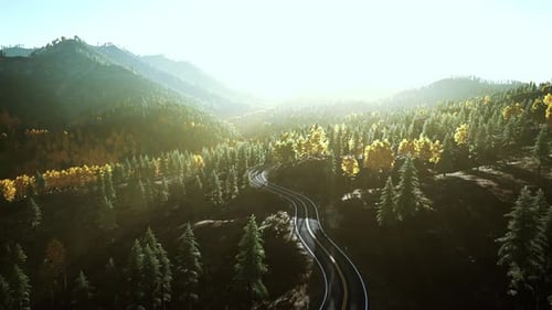 A Serene Winding Road Cutting Through a Picturesque Forest at Sunset