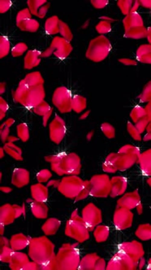 Decorative Falling Red Rose Petals with Sparkling Effect