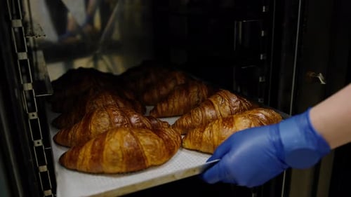 Kitchen in the bakery - ready-made croissants are taken from the oven