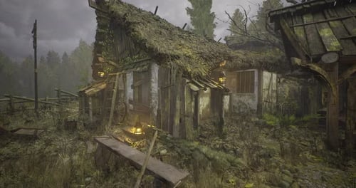 Abandoned Cottage in a Misty Forest During Overcast Weather