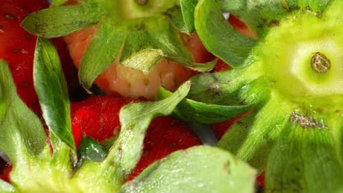 Das Makro-Video zeigt die faszinierenden Details einer Erdbeere