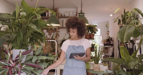 Woman Uses Tablet in Flower Shop Surrounded by Plants