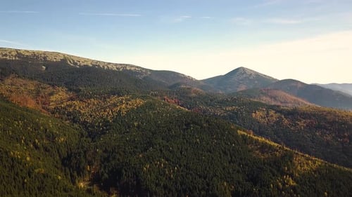 Aerial View of Autumn Mountain Landscape with Evergreen Pine Trees and Yellow Fall Forest with
