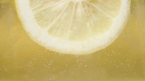 Lemon Slice Floating in a Fizzy Beverage