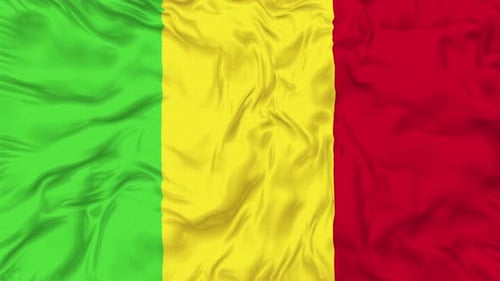 Realistic Waving Mali National Flag Loop Animation