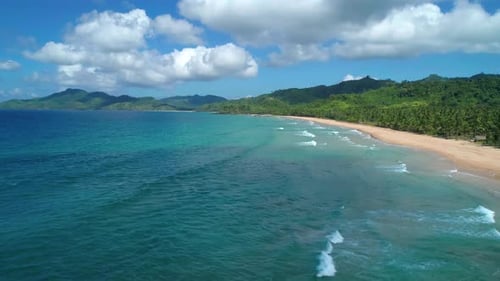 Aerial View of Tropical Sandy Beach in Bay with Blue Water Seascape with Sea Sand Palm Trees Top