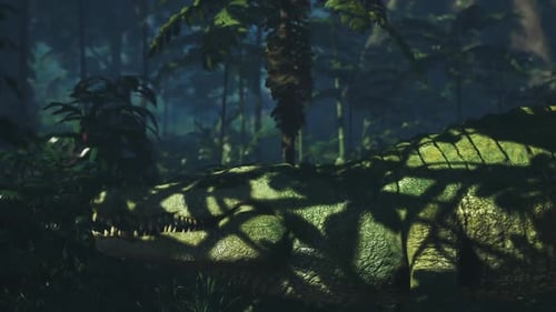 Crocodile se reposant dans une jungle dense pendant un après-midi ensoleillé