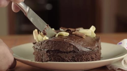Hand serving piece of chocolate cake close up shot