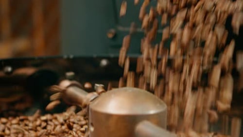 Coffee production is the process of roasting fresh coffee beans coffee beans are poured