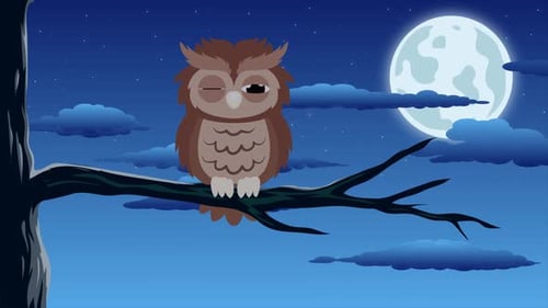 Cartoon Owl