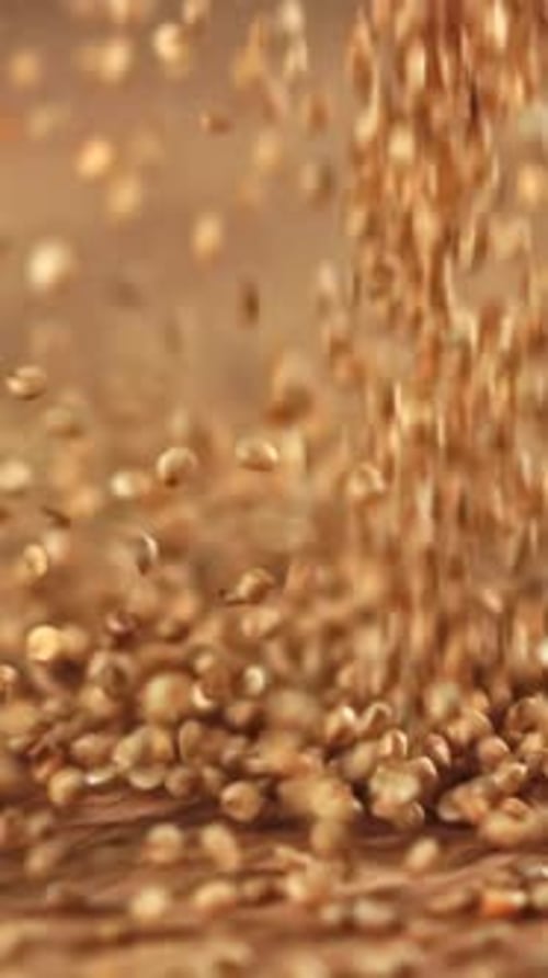 Chia Seeds Fall on the Table Filmed on a Highspeed Camera at 1000 Fps