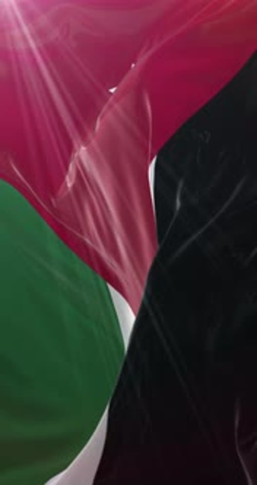 Realistic Fluid Waving Jordan Flag Vertical Loop