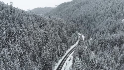 Winter Mountain Road Surrounded By Snowy Trees Aerial View