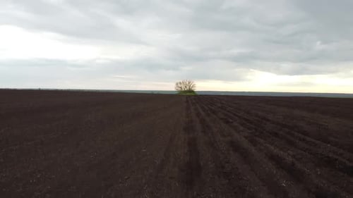 Blauer Traktor mit gelber Sämaschine arbeitet auf dem Feld in der Ukraine OA