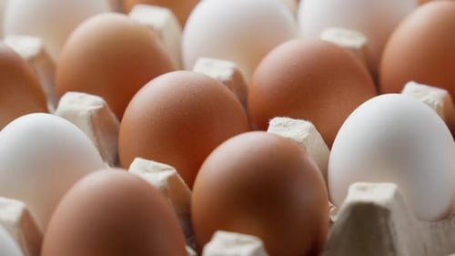 Braune und weiße Eier in Kartonschachtel Rotierende Hühnereier im Behälter