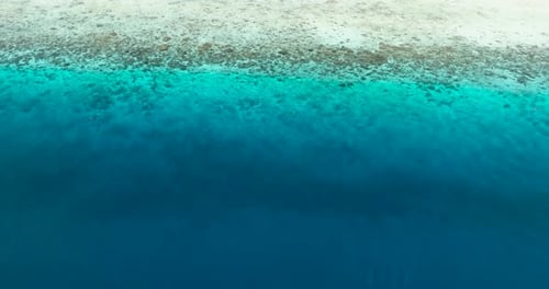 Tropical Sea with Turquoise Water