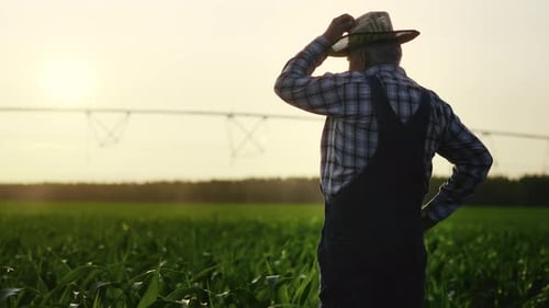 Aged Countryman Admiring Beautiful Rural Scenery in Summer Morning Back View Happy Old Farmer