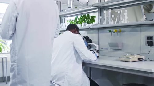Wissenschaftler, der im Labor arbeitet, Ärzte stellen Laborwerkzeuge für die medizinische Forschung her, Mikroskop-Reagenzgläser