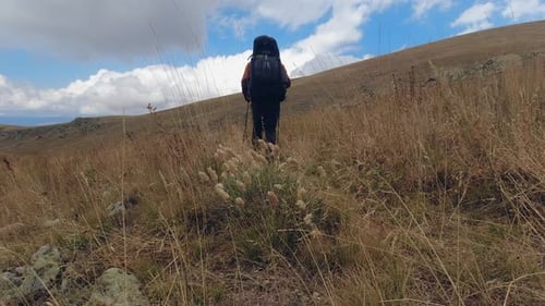 Hiker with heavy backpack and poles walks across sloping meadow grass