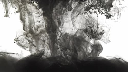 Black Ink Dissolving and Spreading in Water