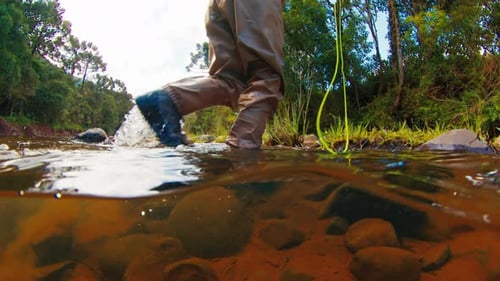 Angler Walks in the River Underwater View