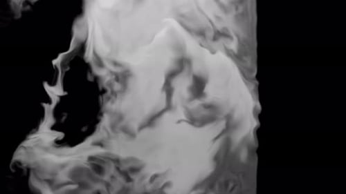 Organic Fluid Smoke Reveal Transition Effect