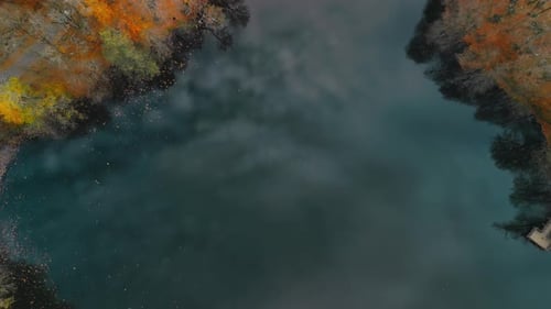 Bosque y lago otoñales - 4K