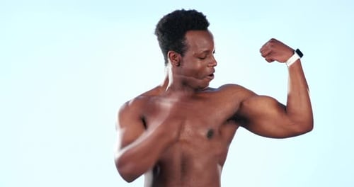 Muscle, flex and face of black man in studio for fitness, bodybuilder training