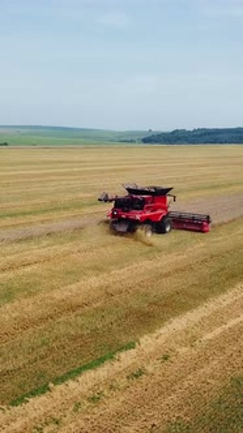 Aerial view. Combine harvester working on sunny summer day. Harvest time.