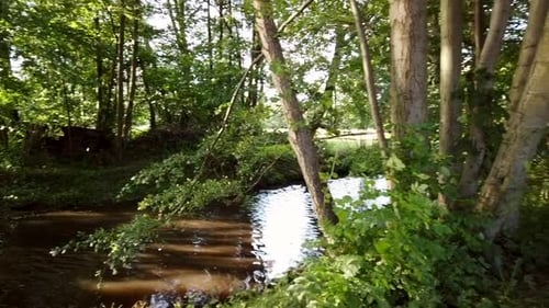 Sentier vert de la rivière Muddy, panoramique à droite