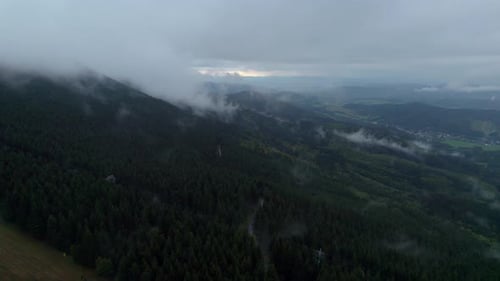 Forest and hill in the morning in foggy weather. jungle thick. aerial view.
