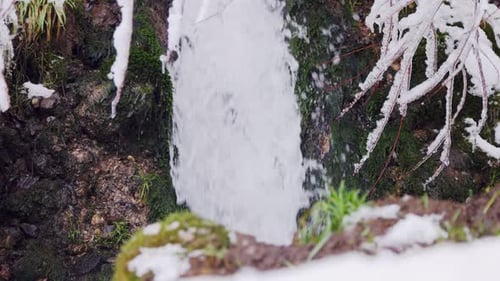 Mini Waterfall in the Forest