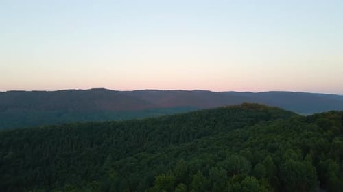 Aerial View of Foggy Morning Over Dark Forest Trees at Summer Sunrise Beautiful Scenery of Wild